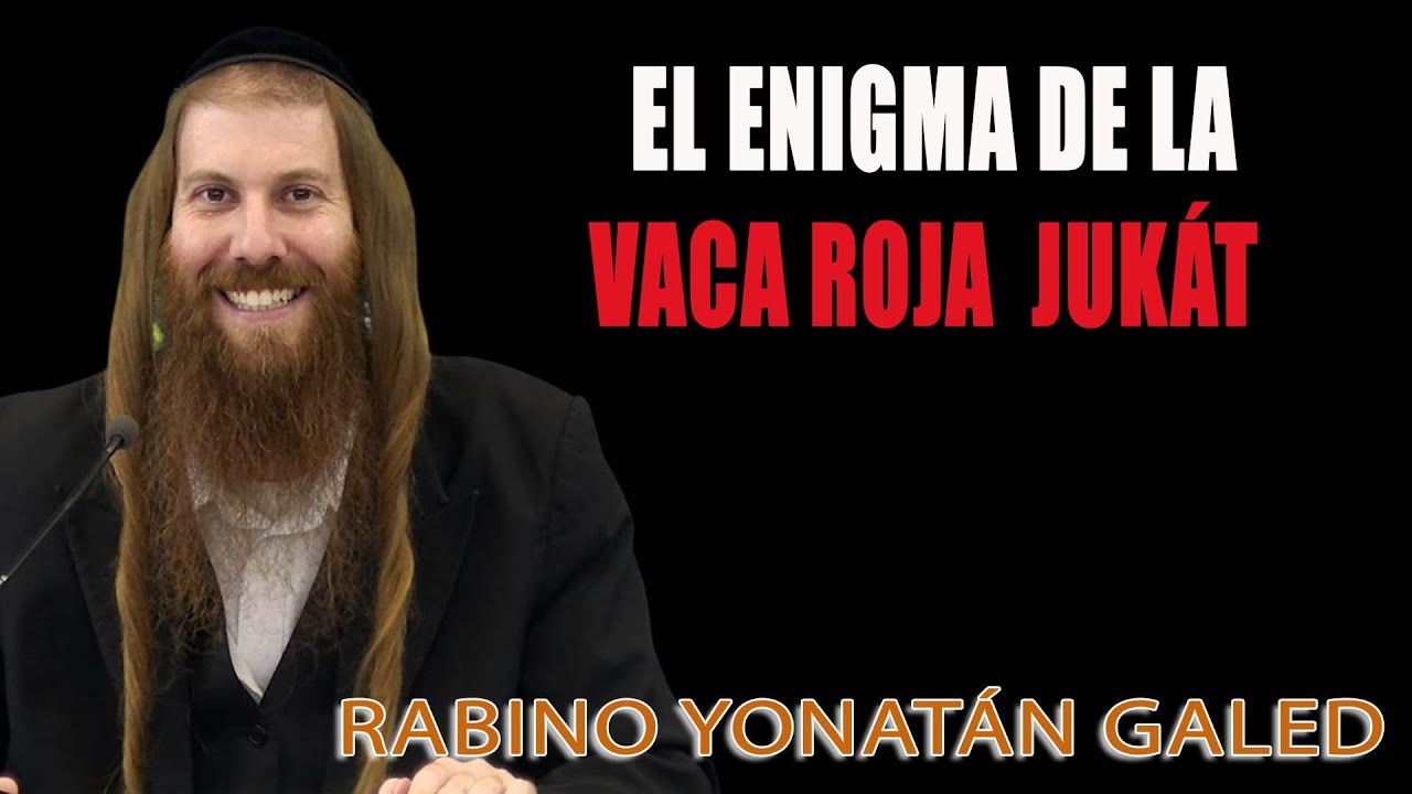 El Enigma de la Vaca Roja  JUKÁT - Rab Yonatán D. Galed