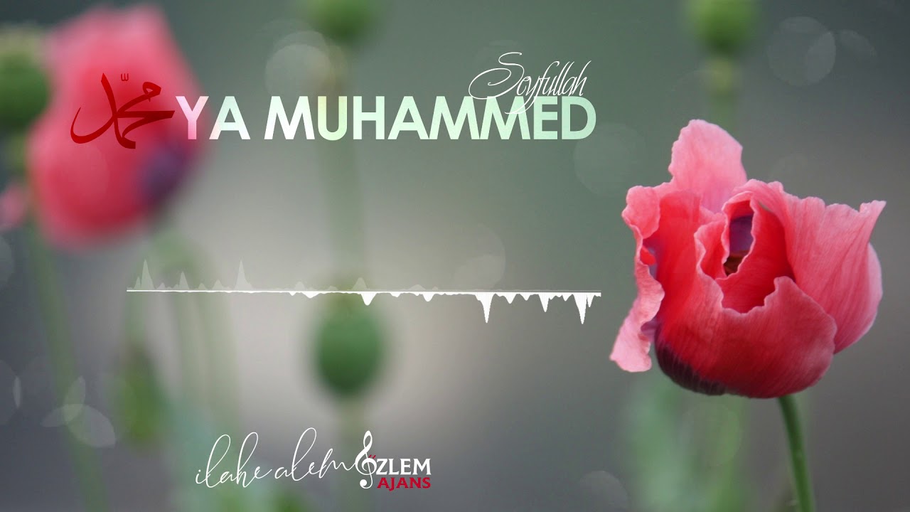 YA MUHAMMED - SEYFULLAH 𝄞