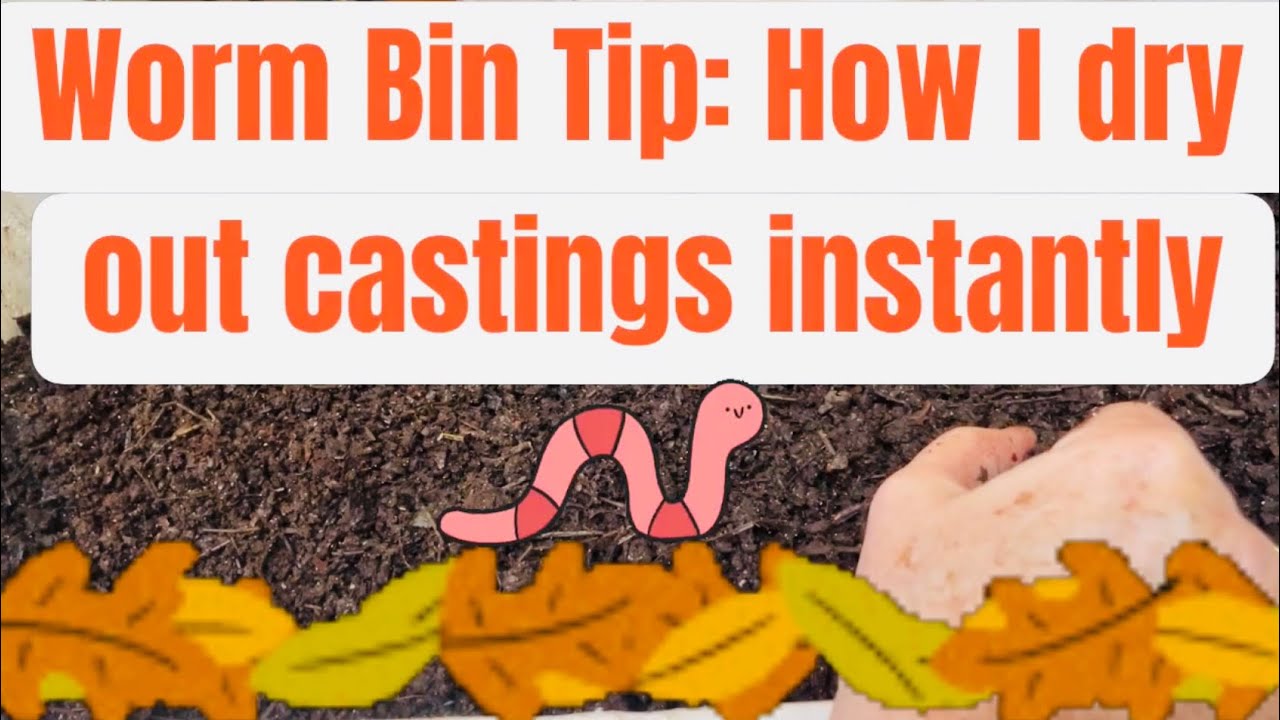 Worm Bin Tip: How I dry out castings instantly!