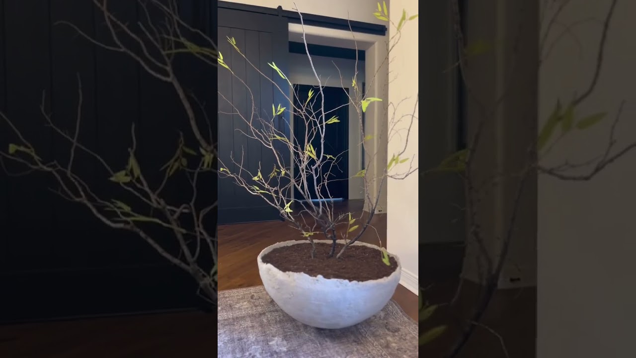 DIY Concrete Planter