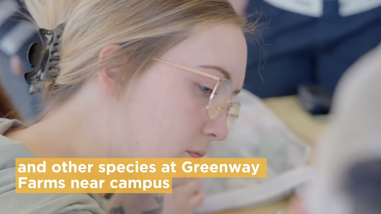 Exploring Chattanooga Through Environmental Science at UTC | University of Tennessee at Chattanooga