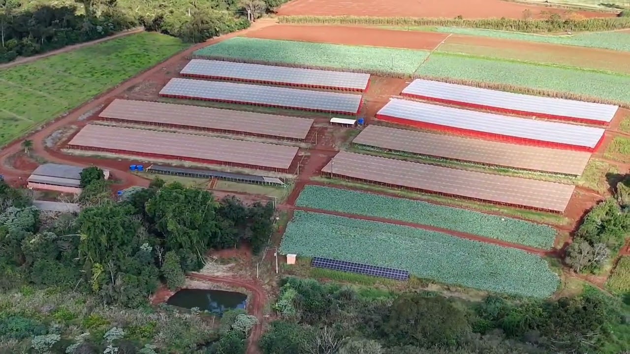 14 de março de 2026