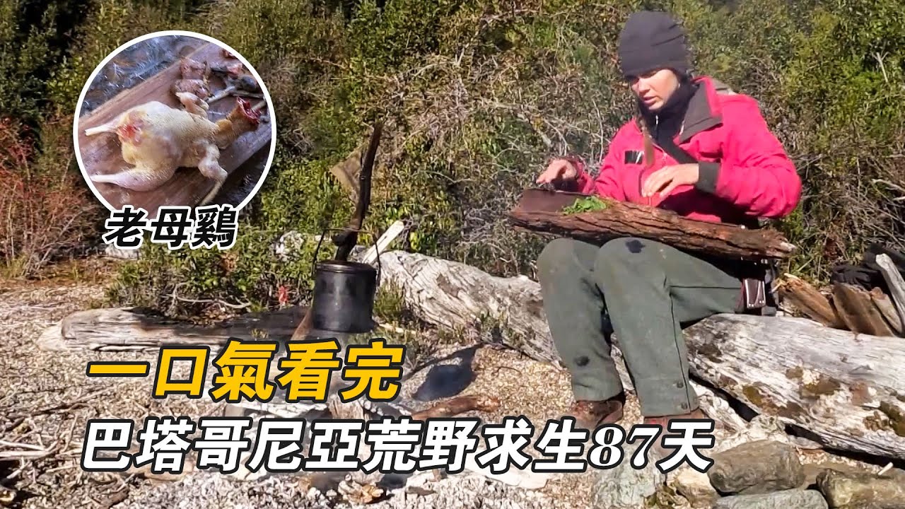 一口氣看完巴塔哥尼亞荒野求生87天，設陷阱抓老母雞，製作捕鴨驅逐艦，自製飛蠅鉤抓湖鱒，搭建荒野大豪宅，挨餓87天贏下50萬美元！紀錄片