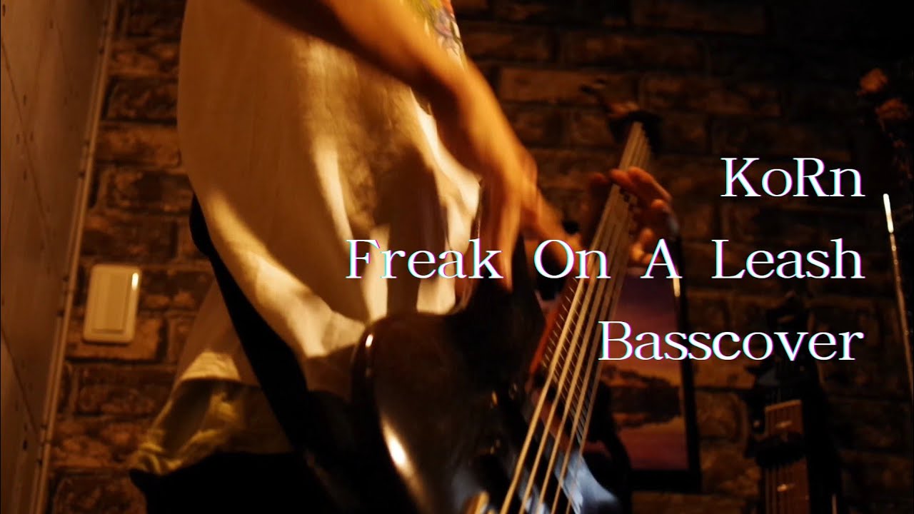 koRn/Freak On A Leash【Basscover】