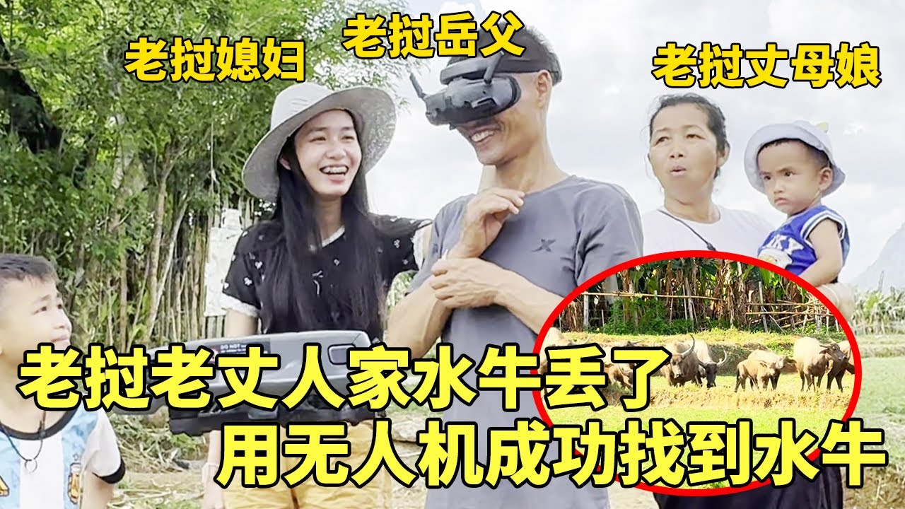 老挝老丈人家的水牛丢了，中国女婿拿出无人机帮忙找，老找人生怕弄坏不敢飞！【老挝七号先生】#跨国恋 #food #vlog #搞笑