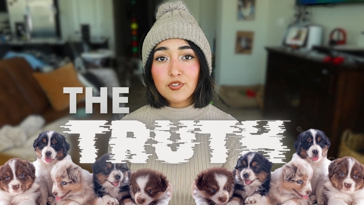 SAVE YOUR DOG FROM PARVO | EVERYTHING YOU NEED to KNOW…