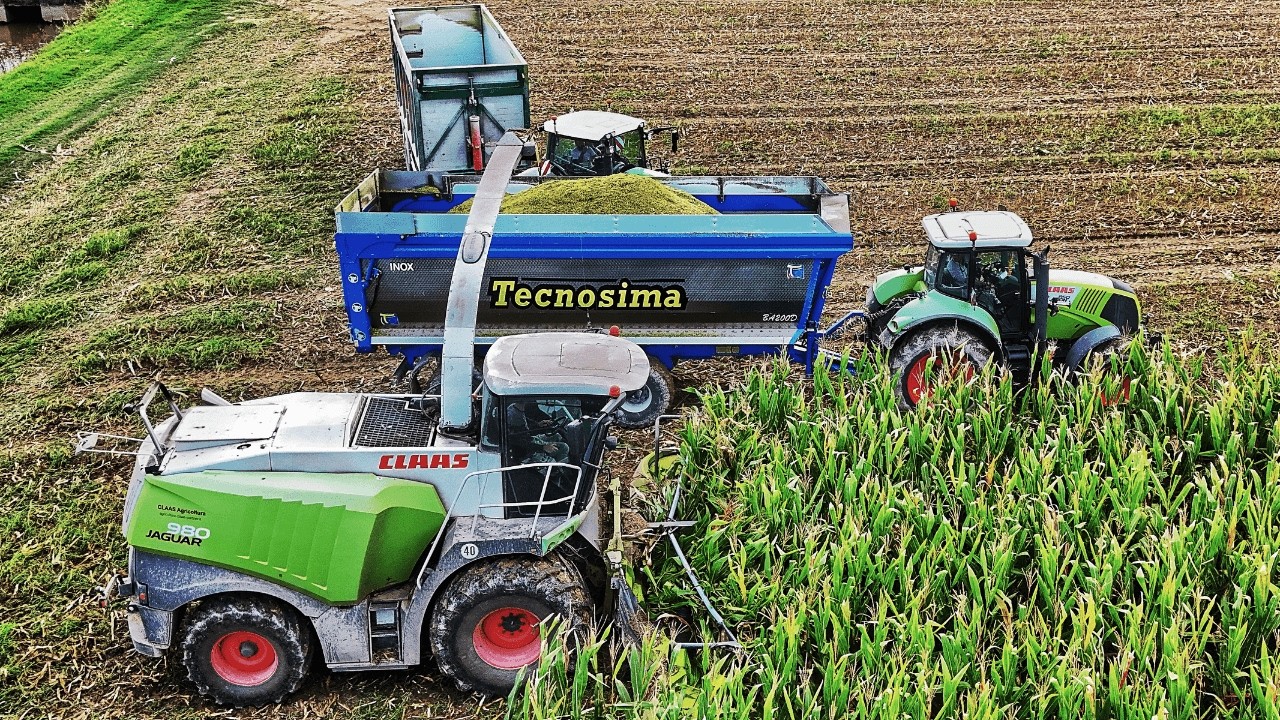 Урожай кукурузы 2024 CLAAS JAGUAR