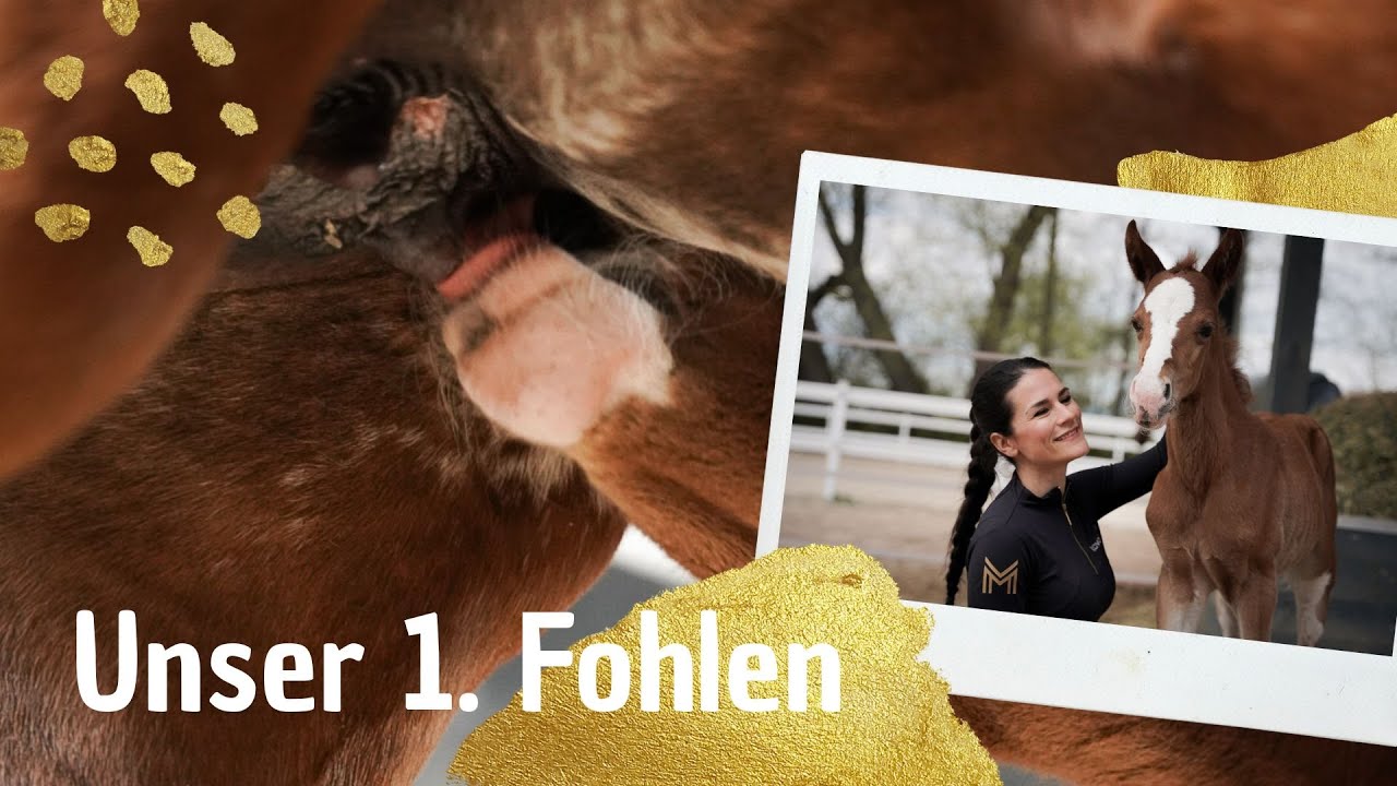 Unser 1. Fohlen | Wir verraten Bee's richtigen Namen