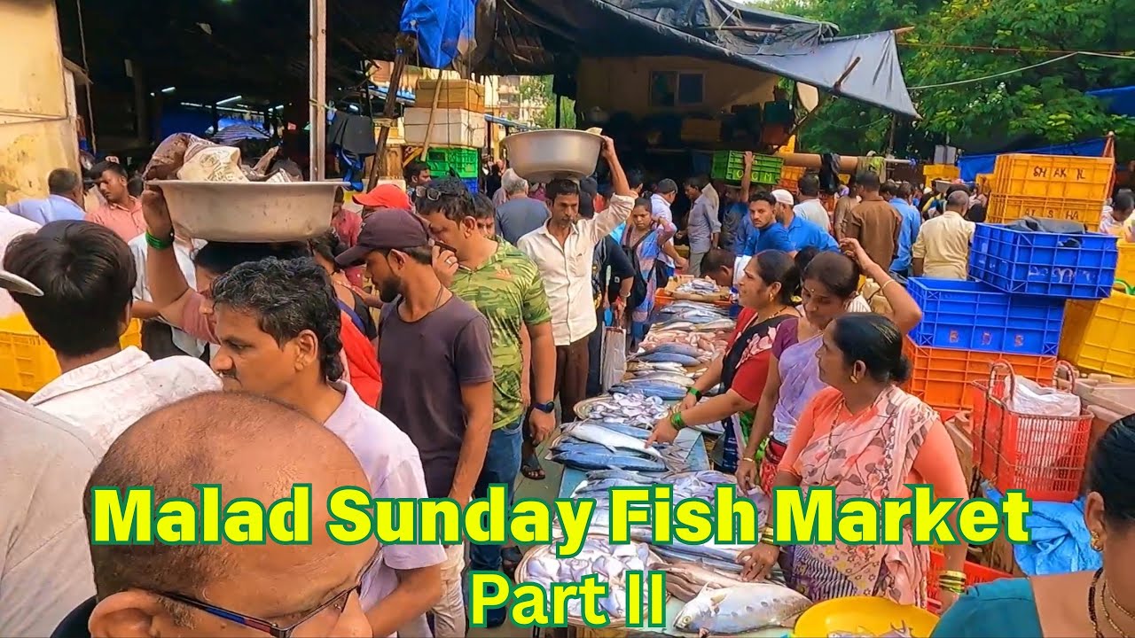 Mumbai #viralvideo | Part II Of Walking In Sunday Fish Market  Malad West | Mumbai | India.