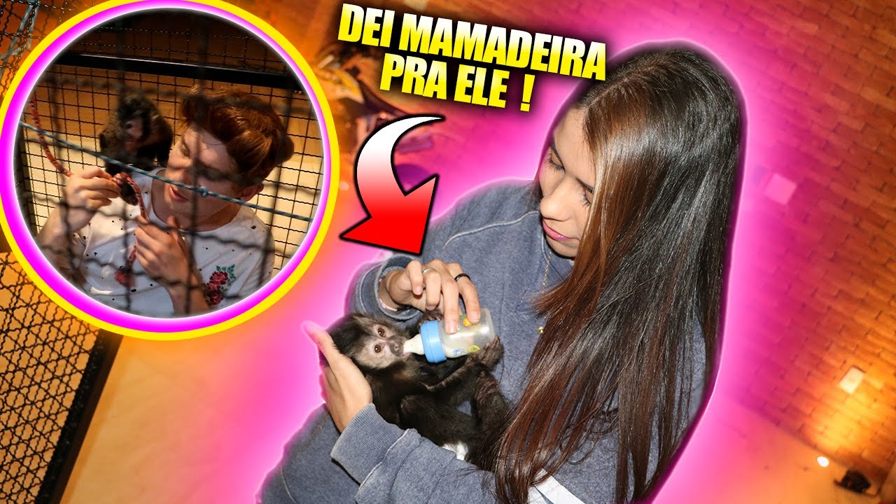 FUI TRANCADA NA GAIOLA COM O MACAQUINHO &Eacute;RON Ft. BRUNO BERTI 🤣 Irm&atilde;os Berti 😱