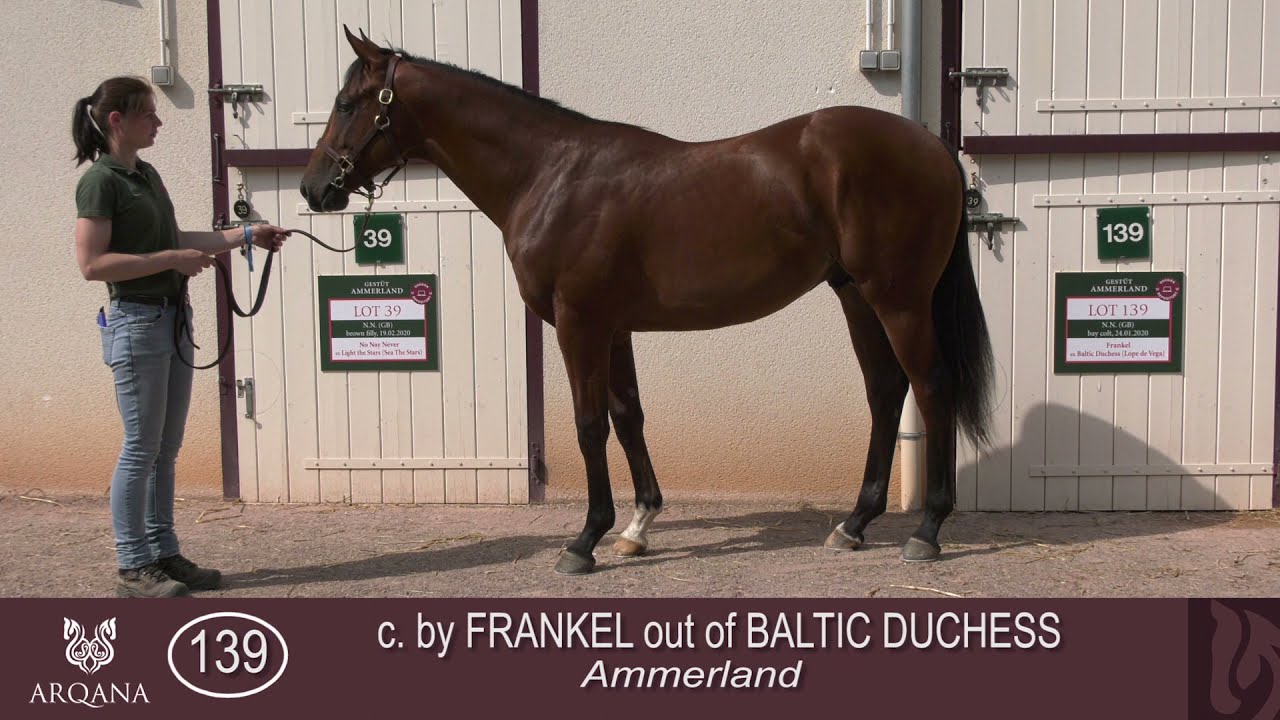 2021 August Yearling Sale - Lot 139 c. FRANKEL x BALTIC DUCHESS