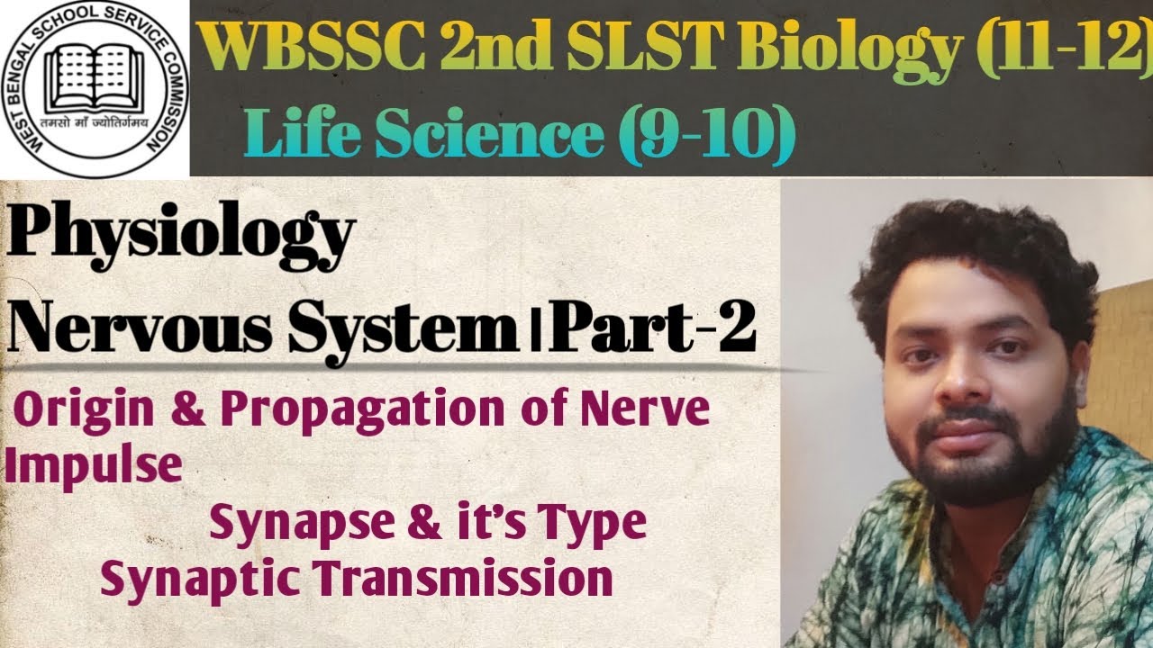 SLST Preparation। Physiology। Nervous System Part -2#slst #slst_preparation #slstnews