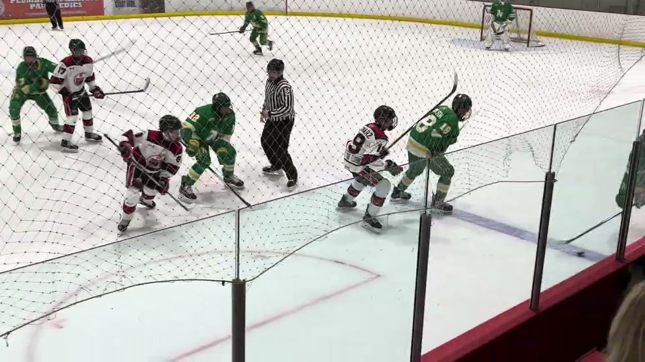 1st - U16AA Northstars vs U16AA Brantford 99ers January 30, 2026 P1