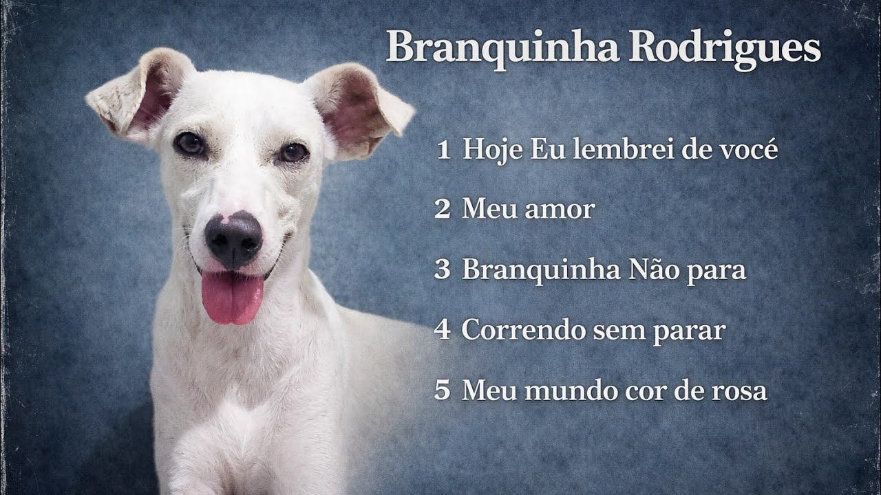 Hoje Eu Lembrei De Você-Branquinha Rodrigues 