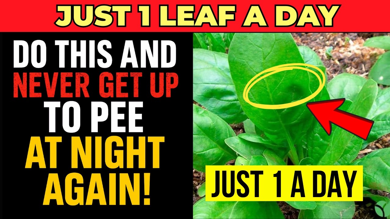 STOP Nighttime Peeing Now: 5 Foods for Deep, Uninterrupted Sleep