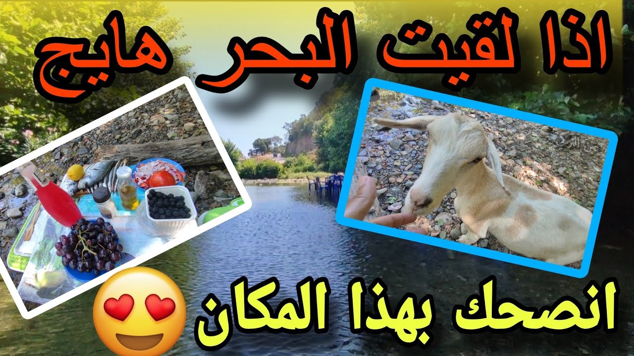 واد تمنارت بمدينة القل ولاية سكيكدة 