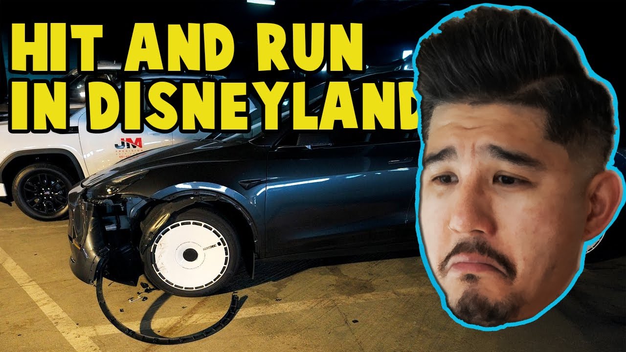 Caught in a Hit & Run at Disneyland Parking | Tesla Model Y