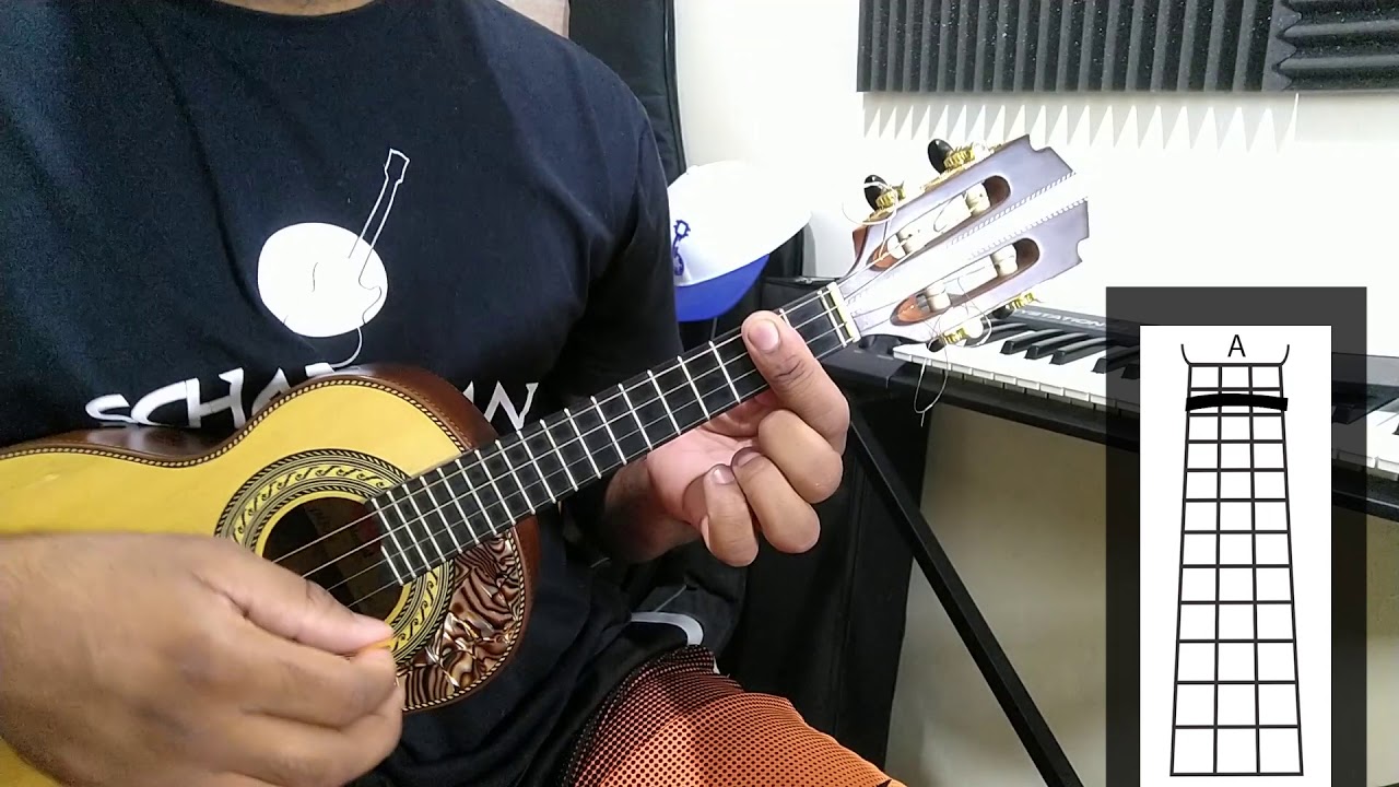 NOVOS TEMPOS - REVELAÇÃO  ( AULA DE CAVAQUINHO )