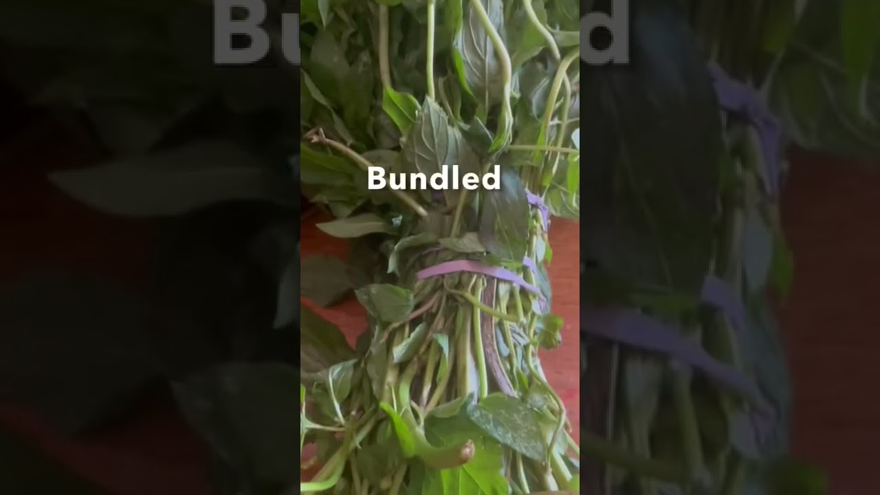How to Air Dry Fresh Mint Leaves | The Everyday Life of an OCDish Chick