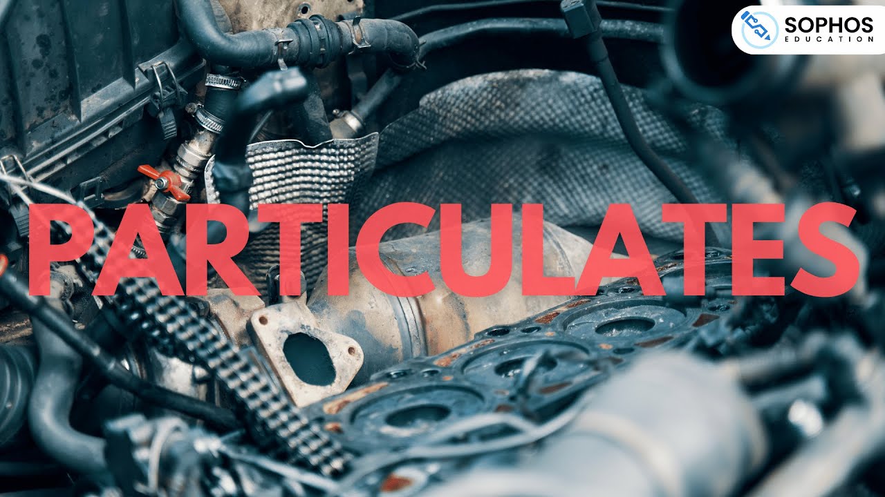 Particulates