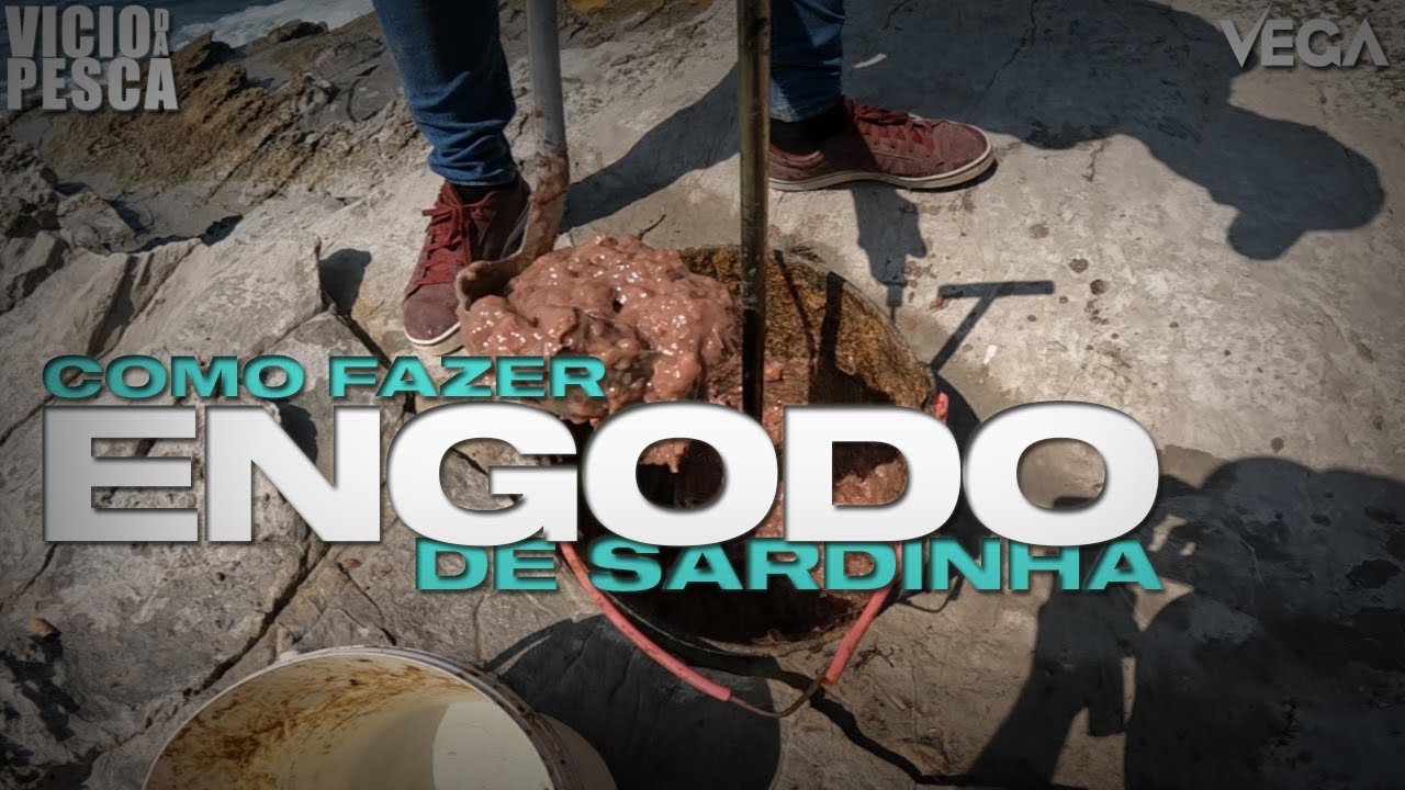 COMO FAZER ENGODO AGUADO DE SARDINHA P/ PESCA AOS ROBALOS/SARGOS & TAINHAS