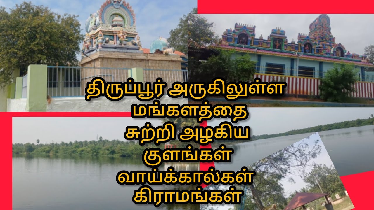 திருப்பூர் பக்கத்துல அழகிய குழங்கள் #tamil #tourism #fishing #river #village 