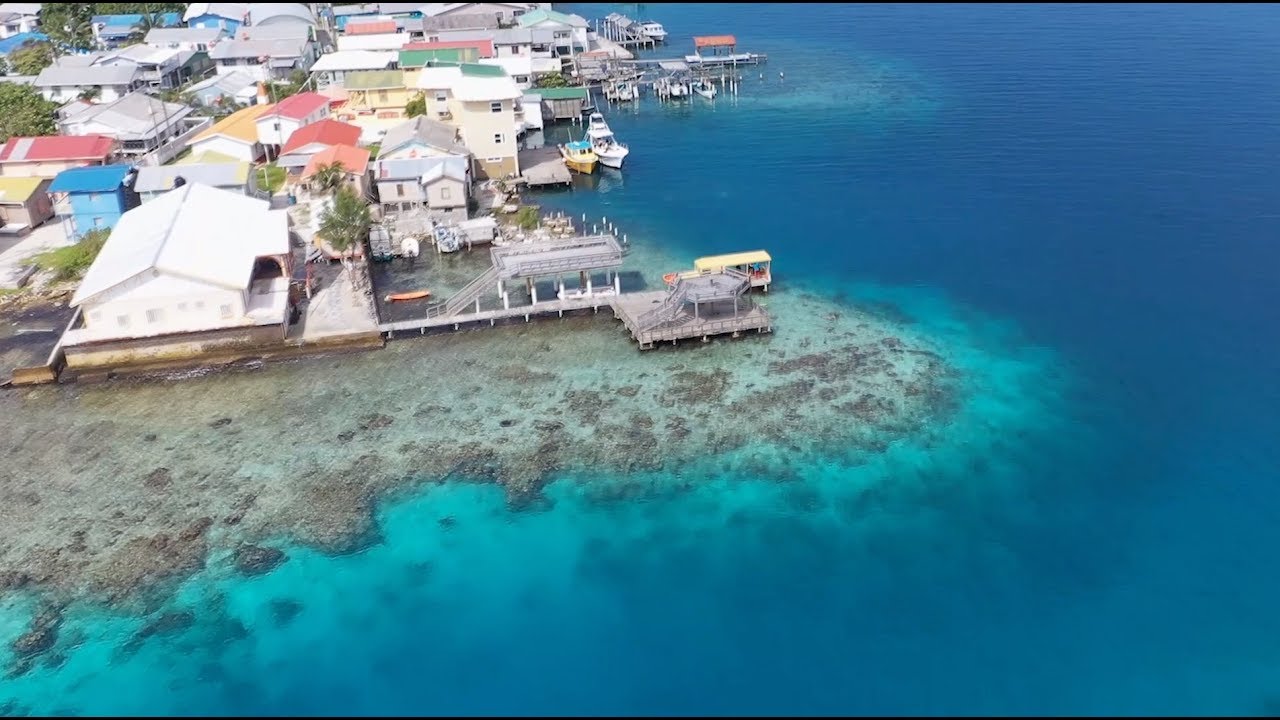Dive Against Debris in Utila and Roatan