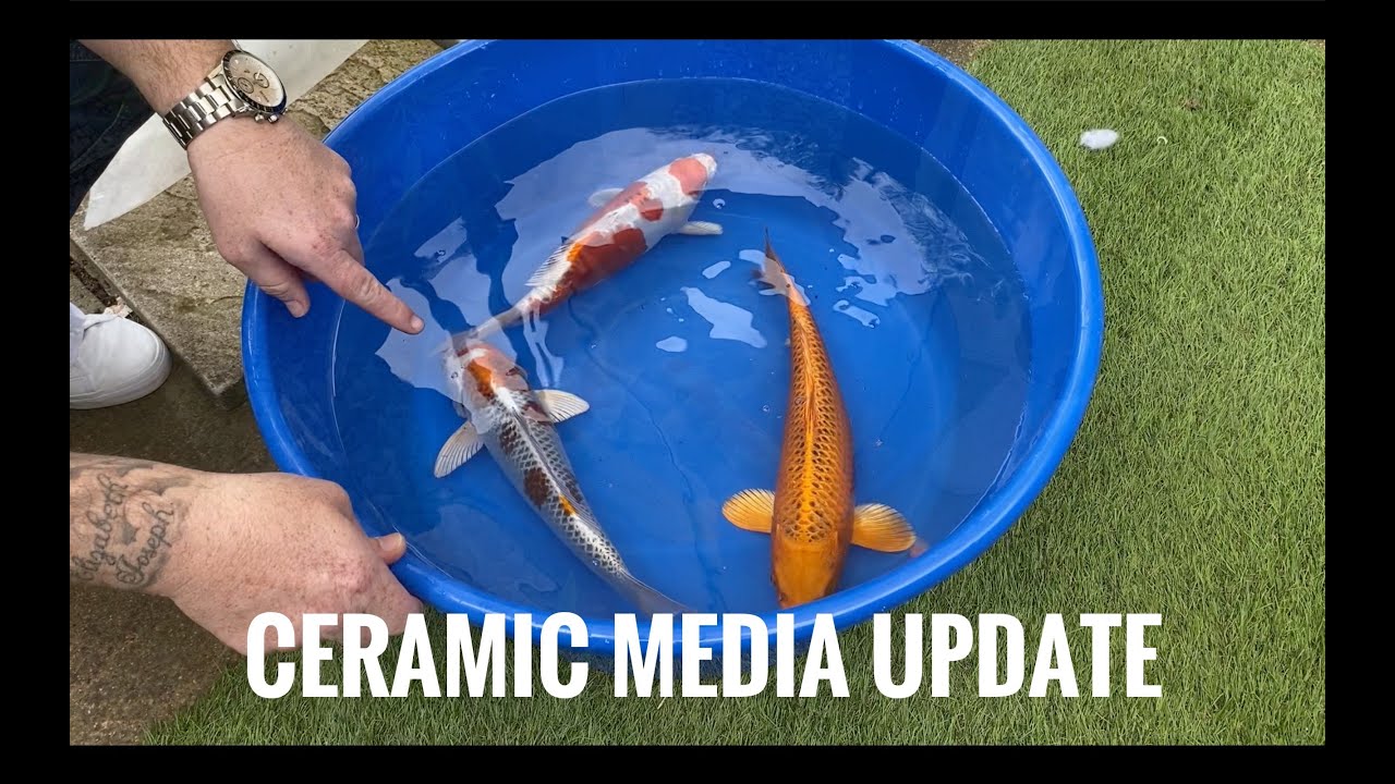 Ceramic Media update
