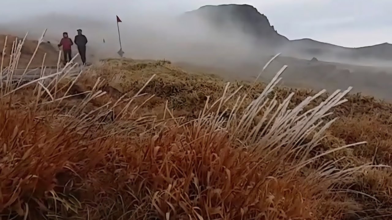 한라산 영실코스로 윗세오름까지 함께 올라가요~^^