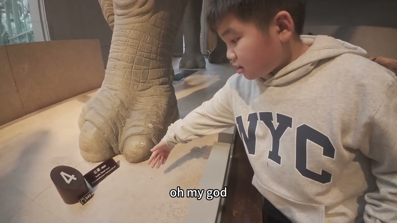 上海自然博物馆museum shanghai 2025