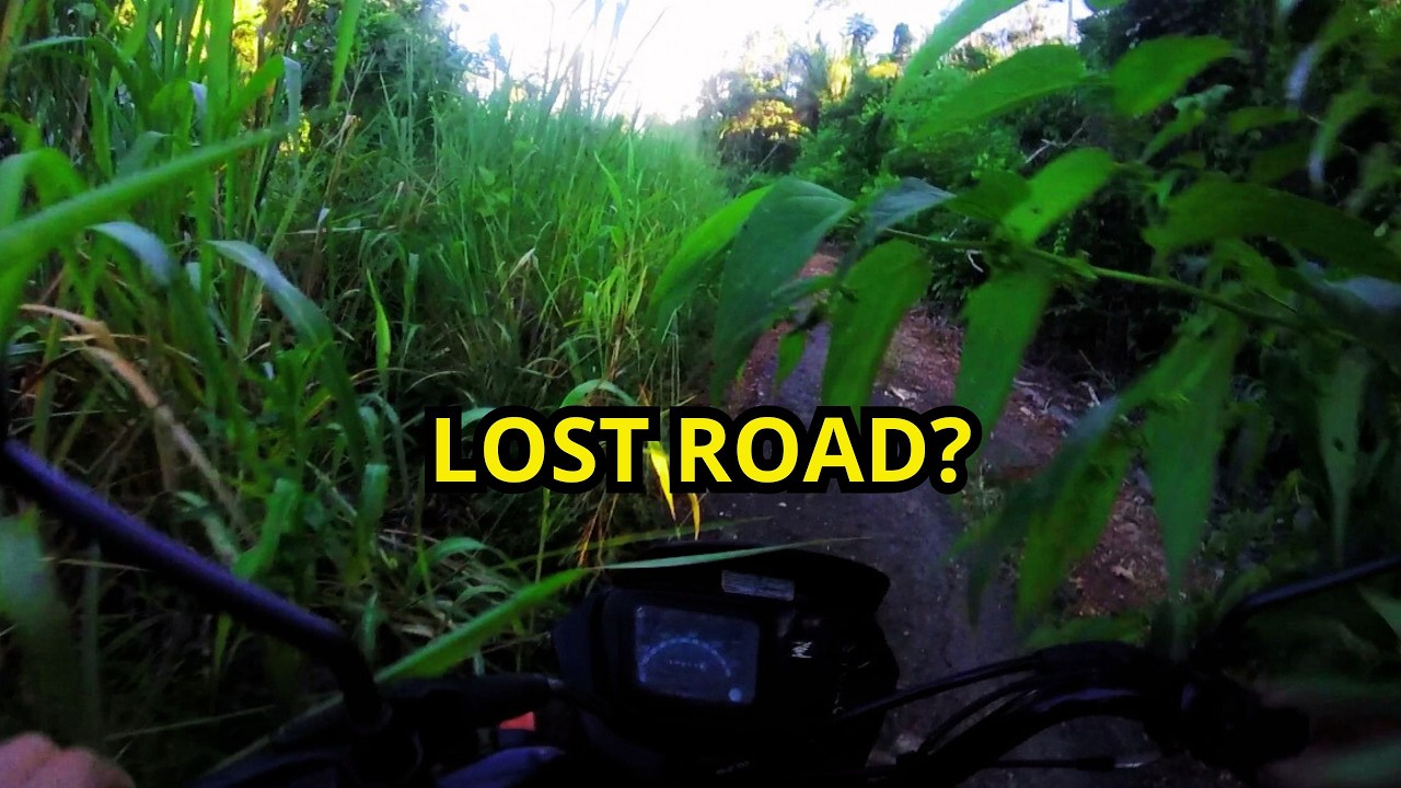 100cc vs. Destroyed Mountain Road: Uphill Battle (Pure Sound ASMR)