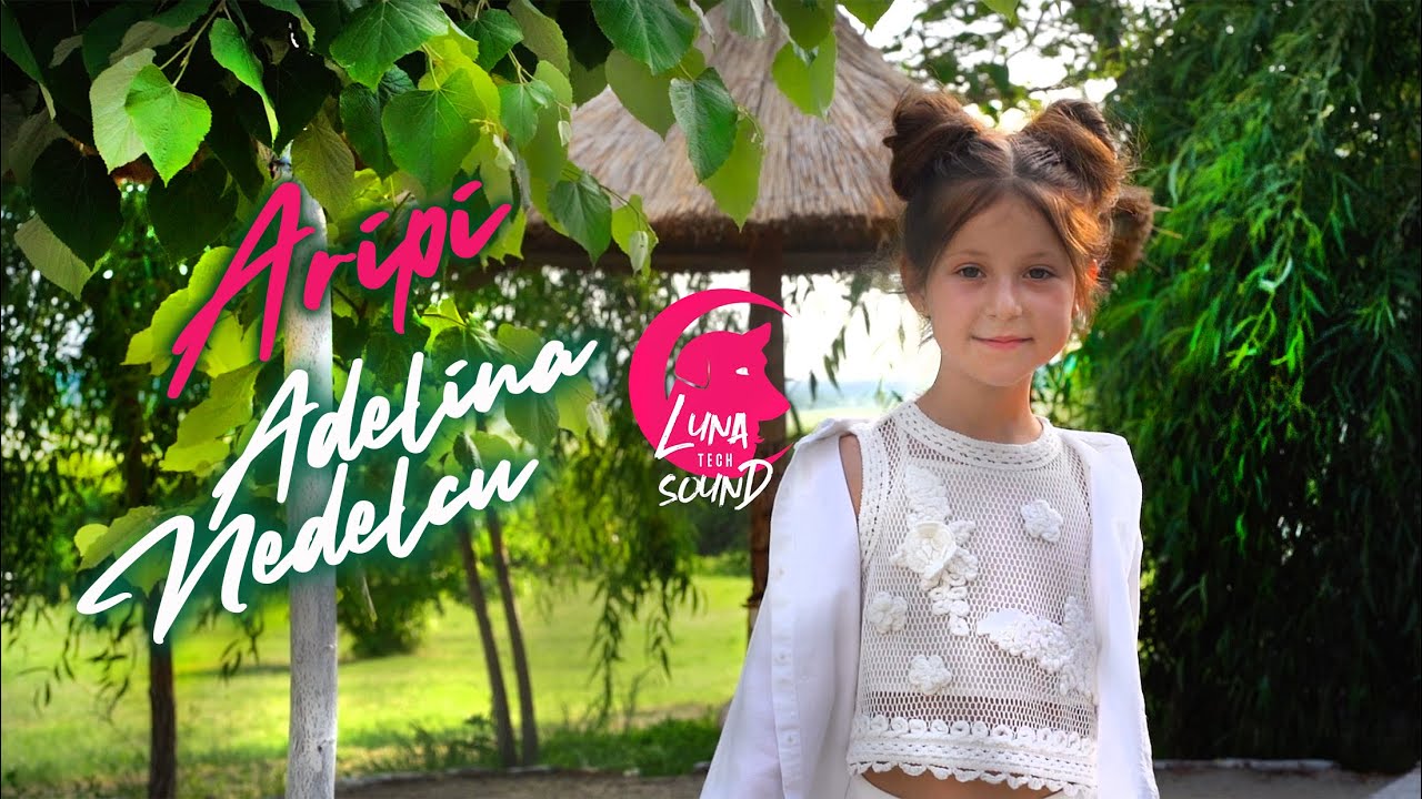 ADELINA NEDELCU  - Aripi