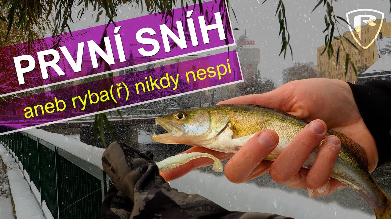 ❄️ PRVNÍ SNÍH, aneb ryba(ř) nikdy nespí. | Fox Rage
