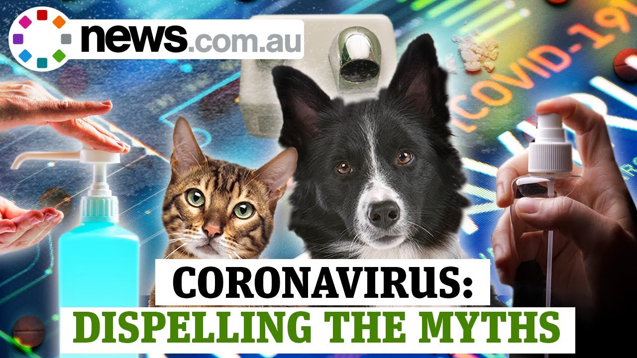 Coronavirus: myths about hand dryers, pets and even thermal scanners