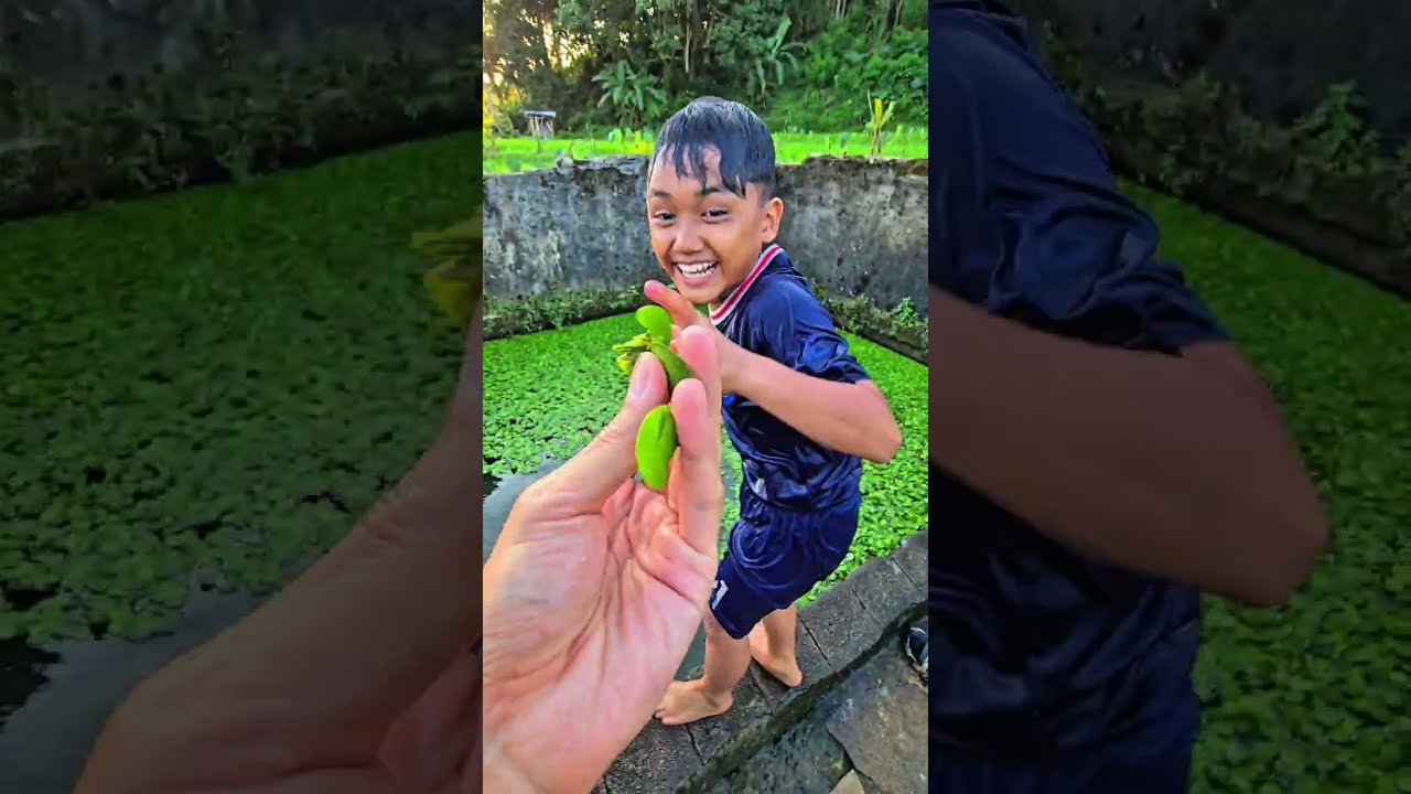 Fais main di sawah nemu lintah #trendingshorts 