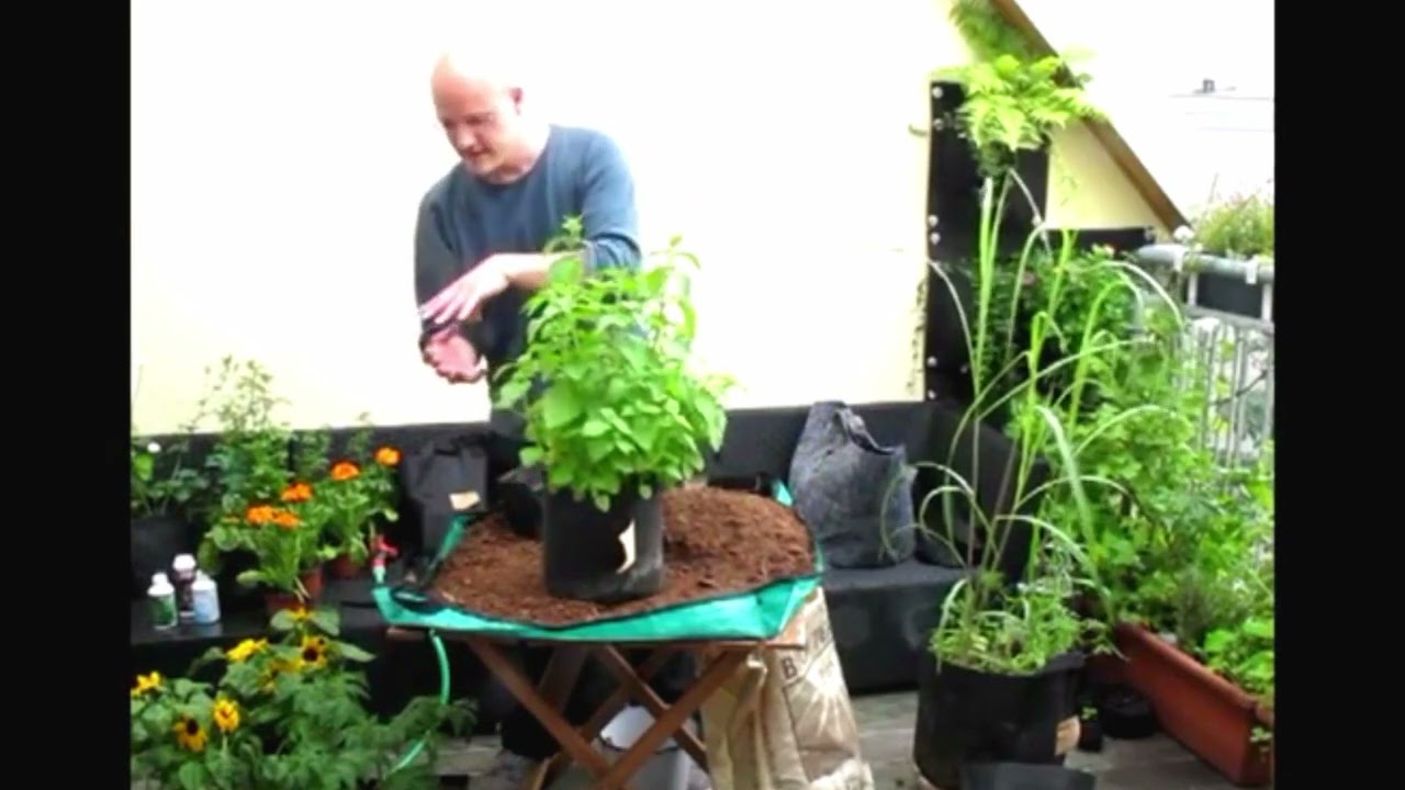 Was sind Root Pouch Stofft&ouml;pfe und deren Vorteile?