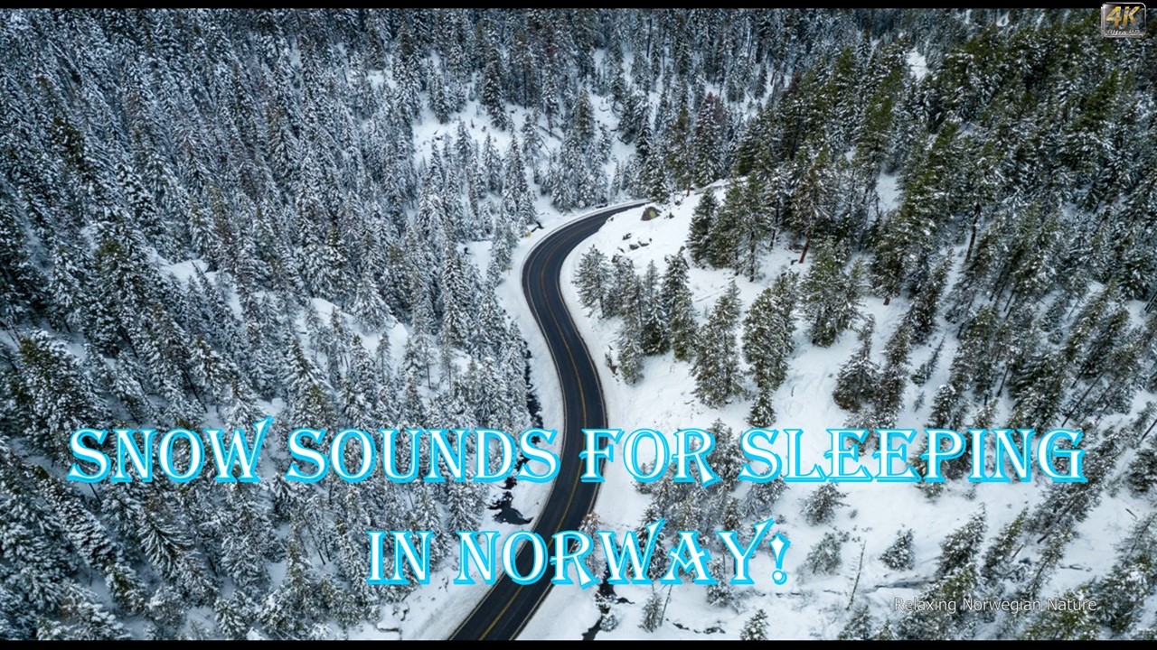 Snow Sounds for Sleeping in Norway!