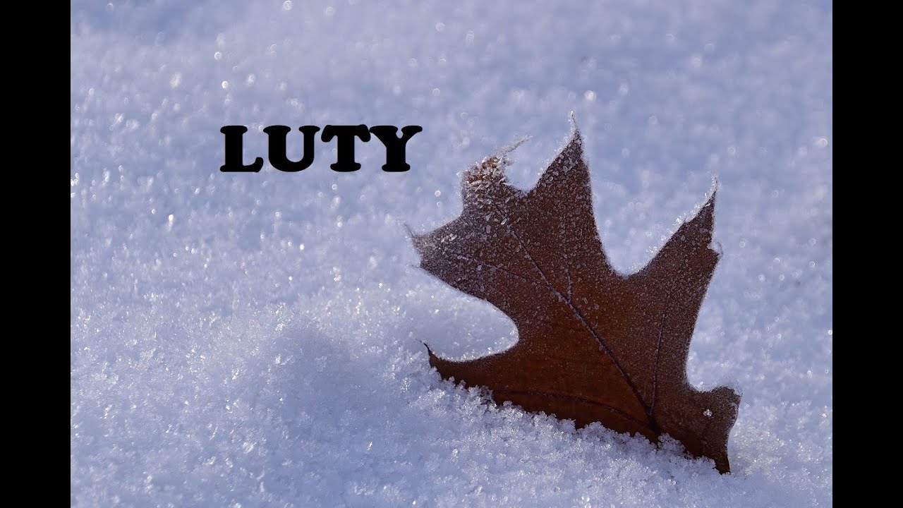 Luty 2026. Znaki Ziemi🌳  Byk⚡ Panna⚡Koziorożec