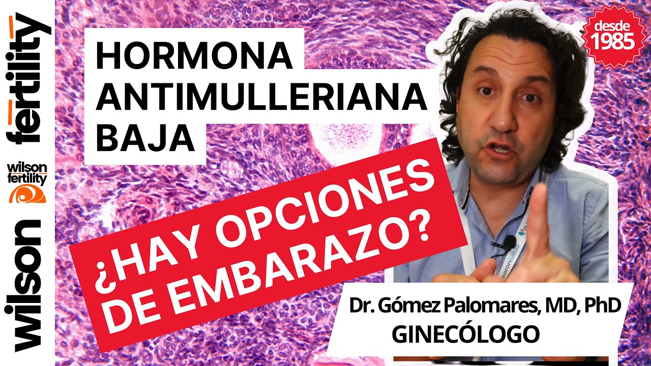 🌡 Hormona antimulleriana (AMH) baja ¿qué significa? ¿Puedo quedarme embarazada?🌡