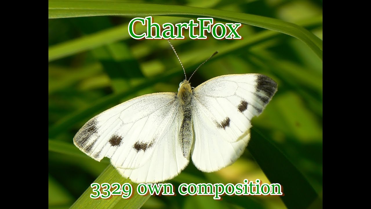 ChartFox - 3329 own compositionwmv
