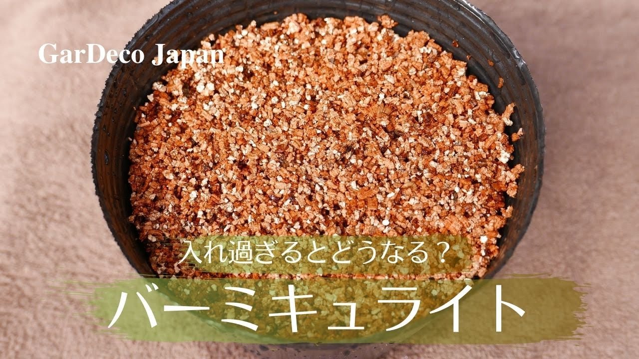 バーミキュライトを入れ過ぎるとどうなる？考えられる２つのデメリット