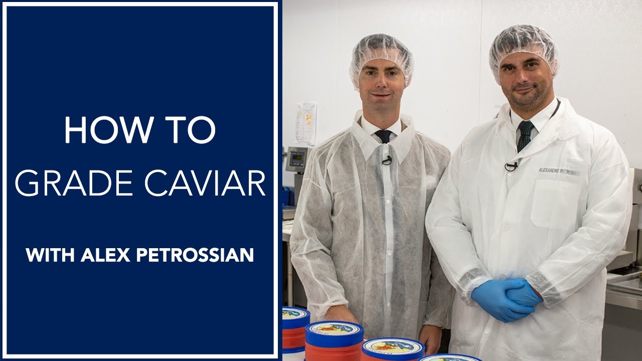 How To Grade Caviar | with Alexander Petrossian