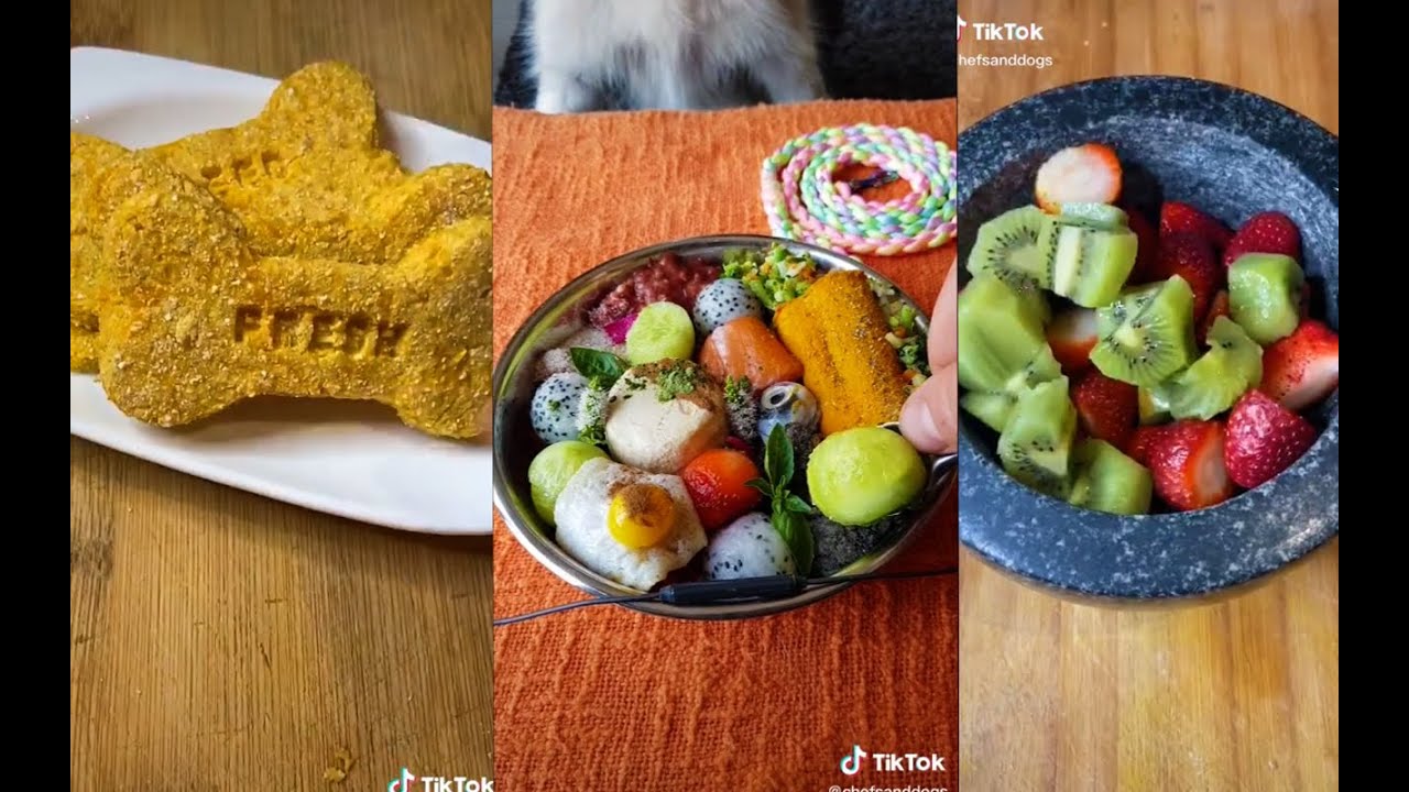 ASMR DIY Pet Food TikTok Compilation PART 4 (Chefs & Dogs) TikTok Museum