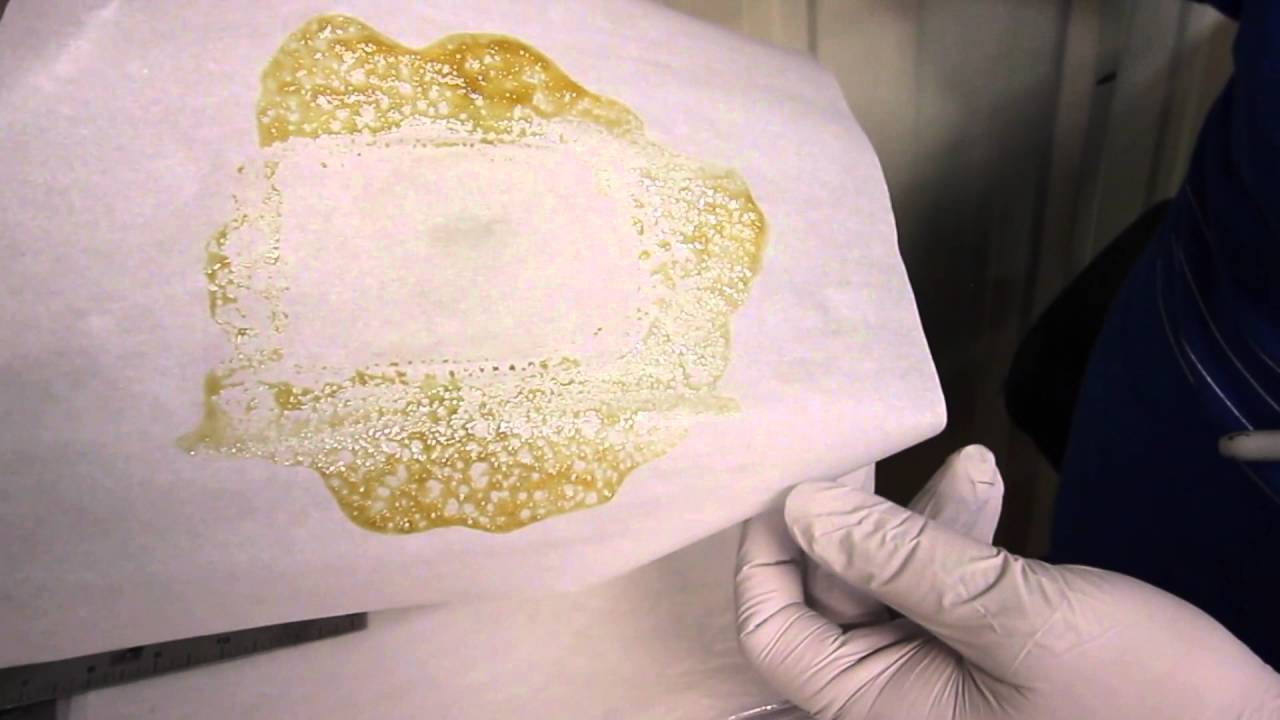 Gold Leaf Gardens | Bryce