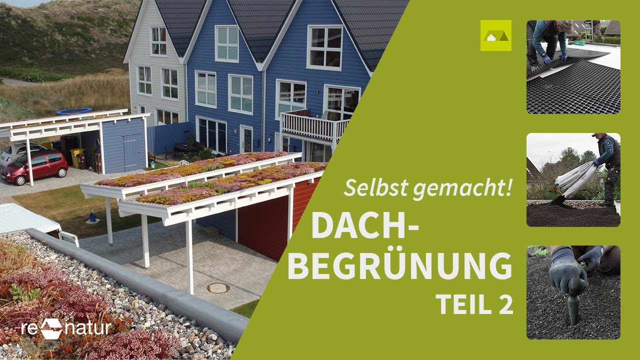 Teil 2 - Gründach für Carport, Anbau oder Gartenhäuschen: Wie geht das?