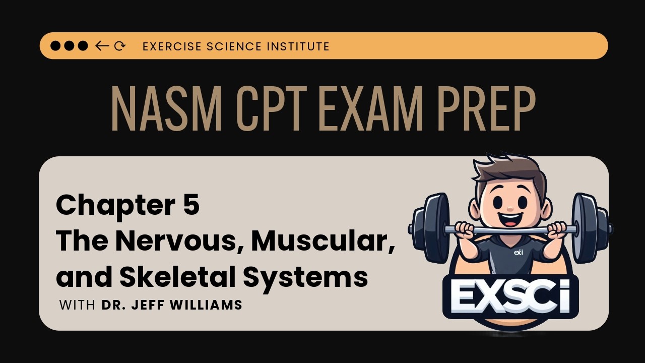 Chapter 5 - The Nervous, Muscular, and Skeletal Systems