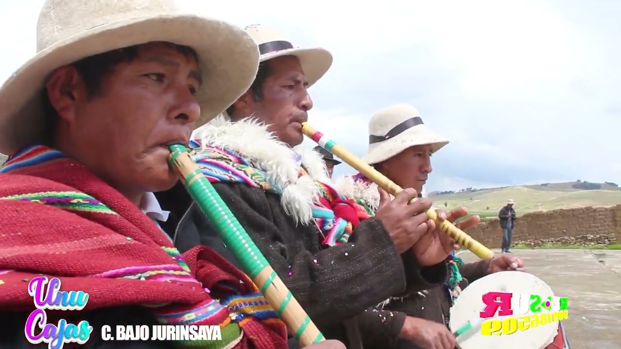 UNUCAJAS DE LA COMUNIDAD DE BAJO JURINSAYA CONTACTOS CEL.986573783, 999186509