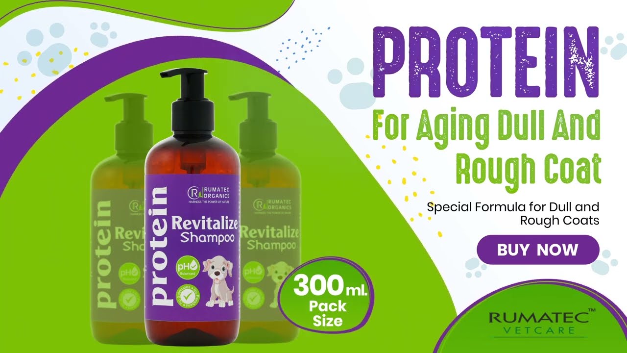 PROTEIN Revitalize Shampoo  | Skin Care | Rumatec Vetcare | Veterinary Products