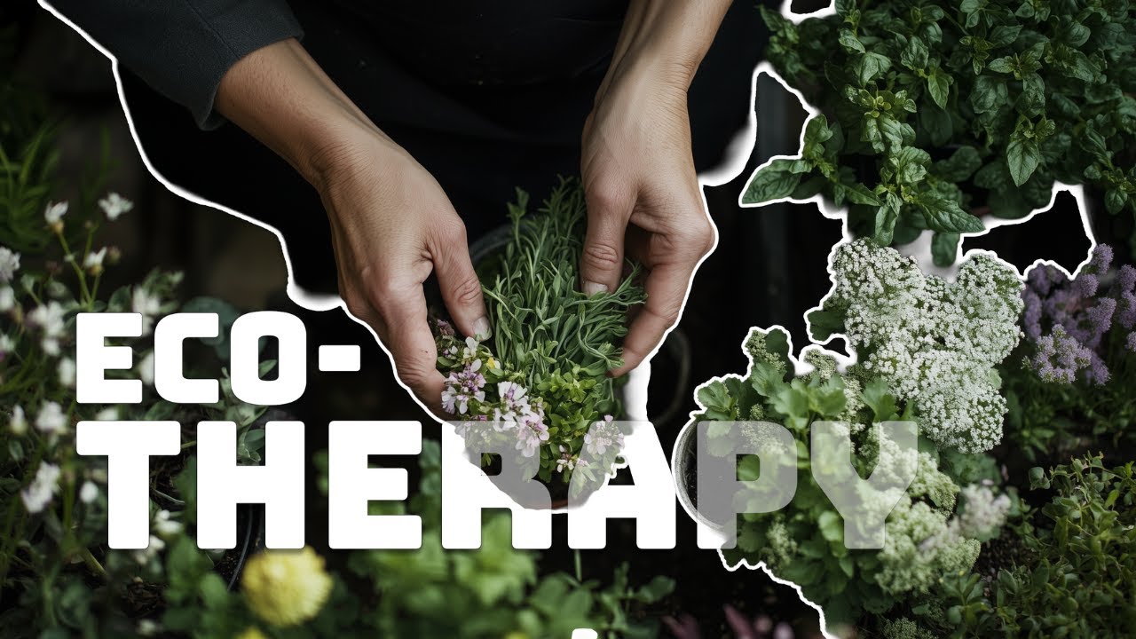 The Rise of Ecotherapy: How Nature is Revolutionizing Mental Health Treatment