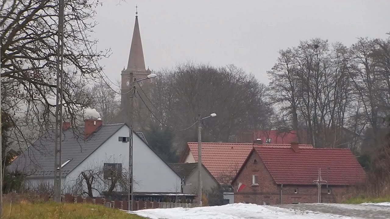 Odc 15 Nadleśnictwo Sulechów KIJE część 1
